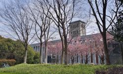 Featured image of post 南京大学 仙林校区 花卉图鉴