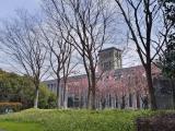 南京大学 仙林校区 花卉图鉴