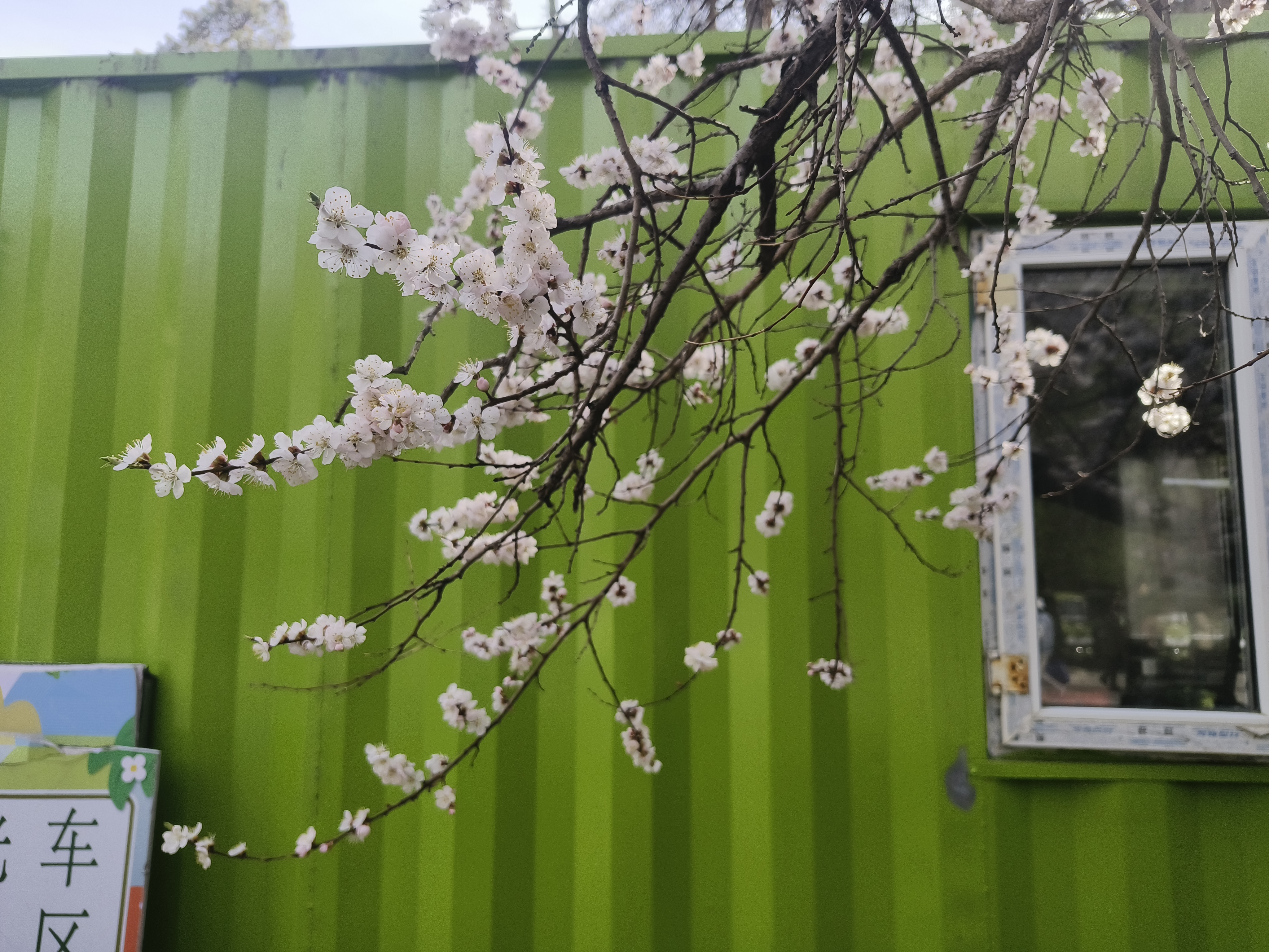 小花