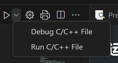 debug/run